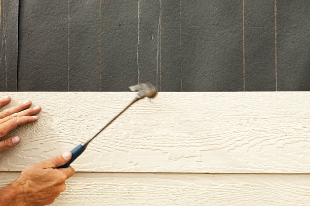 Best Vinyl Siding Installation  in Lechee, AZ